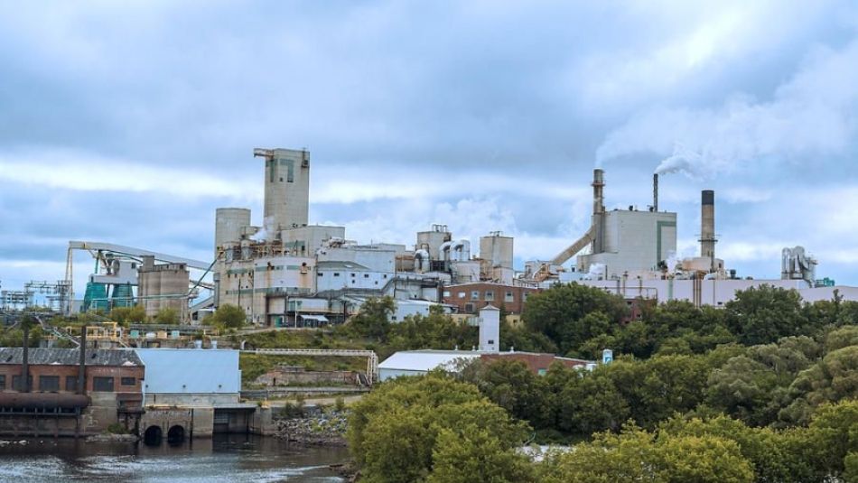 Rural communities bear the brunt of forestry sector uncertainty