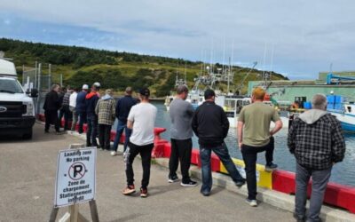 FFAW-Unifor demonstrates the power of solidarity in sea cucumber victory