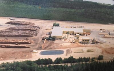 Unifor calls for immediate government action as Interfor Ear Falls sawmill shuts down