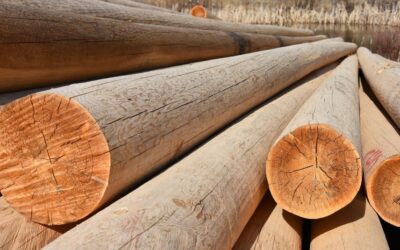 Forestry and steel sector supports encouraging