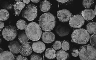 Unifor calls on governments to act after Interfor announces wind down of Nairn Centre sawmill