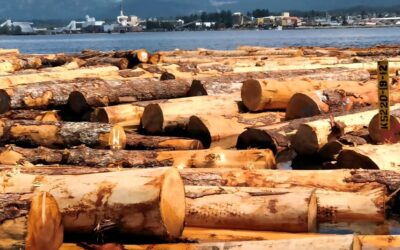 Unifor urges immediate action on forestry recommendations