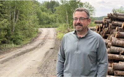 An unprecedented coalition lays out a new vision for the future of Quebec’s forests