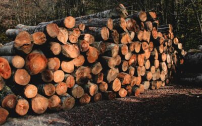 Closure of AV Nackawic mill devastating blow to workers, Nackawic and New Brunswick
